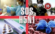 Một số biện pháp phòng tránh cúm tại trường học