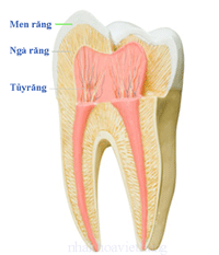 rang-chua-tuy-1